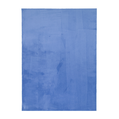 Afbeelding van Wasbaar vloerkleed Vivid Blauw 120x170cm FRAAI