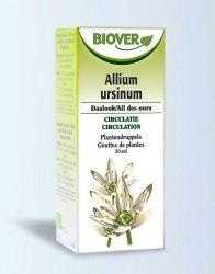 Afbeelding van Biover Allium Ursinum Tinctuur Bio, 50 ml