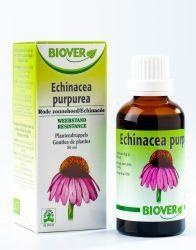 Afbeelding van Biover Echinapurpurea Tinctuur Bio, 50 ml