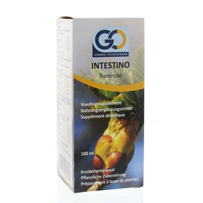 Afbeelding van Go Intestino Bio, 100 ml