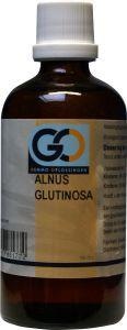 Afbeelding van Go Alnus Glutinosa, 100 ml