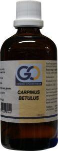Afbeelding van Go Carpinus Betulus, 100 ml