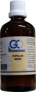 Afbeelding van Go Populus Nigra Bio, 100 ml