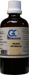 Afbeelding van Go Prunus Amygdalus Bio, 100 ml