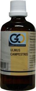 Afbeelding van Go Ulmus Campestris Bio, 100 ml