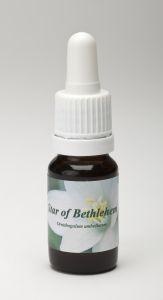 Afbeelding van Star Remedies of Bethlehem (10 ml)