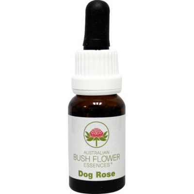 Afbeelding van Australian Bush Dog rose (15 ml)