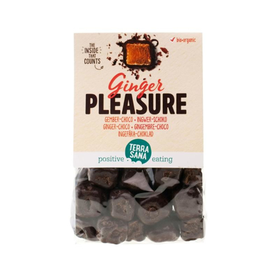 Afbeelding van Terrasana Ginger Pleasure Choco Bio, 150 gram