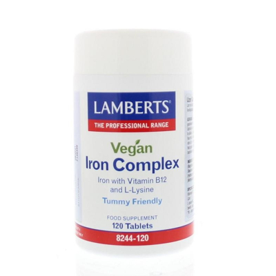 Afbeelding van Lamberts Ijzer Complex Vegan, 120 tabletten