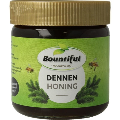 Afbeelding van Bountiful Dennen honing 500 g