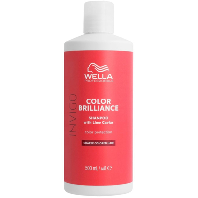 Abbildung von Wella Invigo Color Brilliance Shampoo Dick/unruhig 500ml