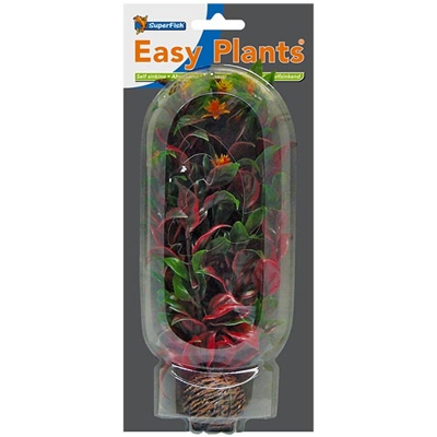 Afbeelding van Superfish Easy Plant Middel 20 Cm Nr 6