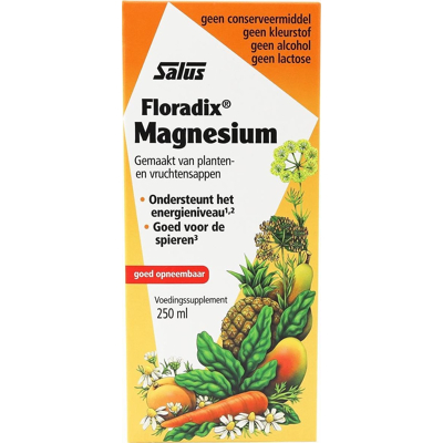 Afbeelding van Floradix Magnesium Voor energie en spieren