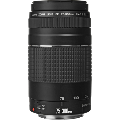 Afbeelding van Canon EF mount telelens 75 300 mm f/4 5.6 III