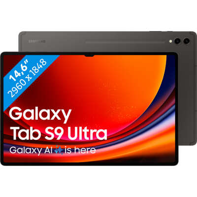 Abbildung von Samsung Galaxy Tab S9 Ultra WiFi 256GB X910 Grau