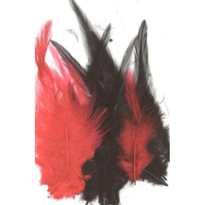 Abbildung von Vaessen Creative Feathers 8,5 15cm 15pcs gala