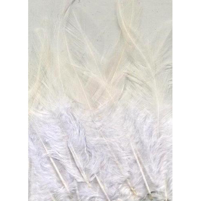 Abbildung von Vaessen Creative Feathers 8,5 15cm 15pcs pure white