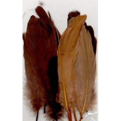 Abbildung von Vaessen Creative Feathers long 15,5 20cm 15pcs earth