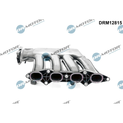 Afbeelding van Dr.Motor Automotive Inlaatspruitstuk module DRM12815