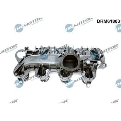 Afbeelding van Dr.Motor Automotive Inlaatspruitstuk module DRM61803