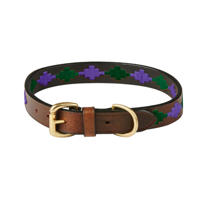 Abbildung von Weatherbeeta Dog Collar Polo Beaufort/Braun/Violett/Ziegel XL