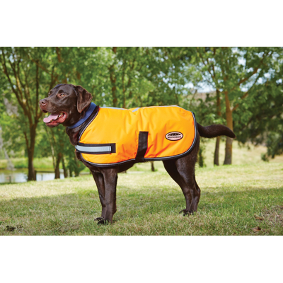 Abbildung von Weatherbeeta Dog Coat Reflektierend Parka 300D Orange 40cm