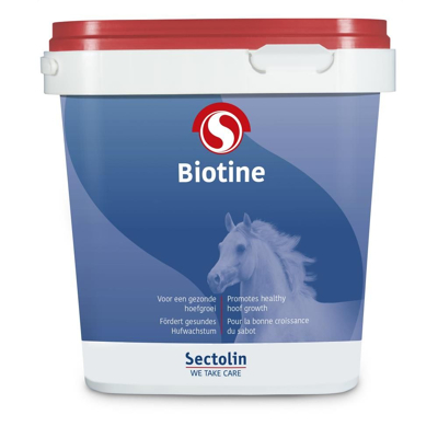 Afbeelding van Biotin equivital 1 kg