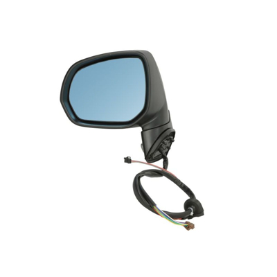 Imagem de Espelho retrovisor Tyc 305 0126 esquerda com subcapa para regulação eléctrica dos espelhos, dobrável electricamente, memória, tom azul, convexo, a
