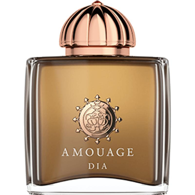 Afbeelding van Amouage Dia Woman 100 ml Eau de Parfum Spray