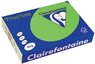 Afbeelding van Clairefontaine Trophée Intens, Gekleurd Papier, A4, 80 G, 500 Vel, Muntgroen Papier