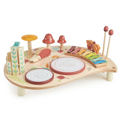 Afbeelding van Tender Leaf Toys Houten speelgoed muziektafel