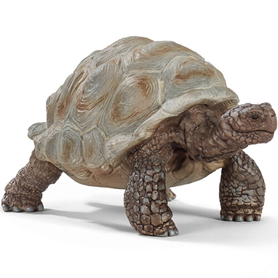 Afbeelding van Schleich wild life reuzenschildpad 8 cm