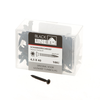 Afbeelding van Blackline scharnierschroef hcp zwart pk 8mm tx 20 +snijpunt 4.5x40 (10