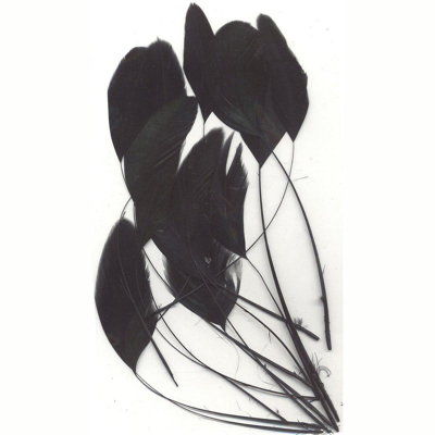 Abbildung von Vaessen Creative Feathers 15,5 18,5cm 15pcs black