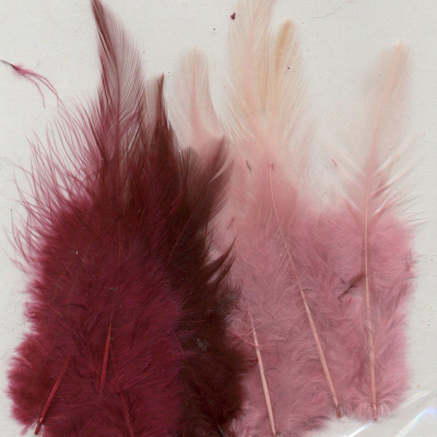 Abbildung von Vaessen Creative Feathers 8,5 15cm 15pcs wine