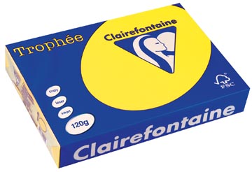 Afbeelding van Clairefontaine Trophée Intens, Gekleurd Papier, A4, 120 G, 250 Vel, Zonnegeel Papier