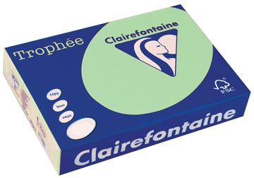 Afbeelding van Clairefontaine Trophée Gekleurd Papier, A4, 80 G, 500 Vel, Natuurgroen Papier
