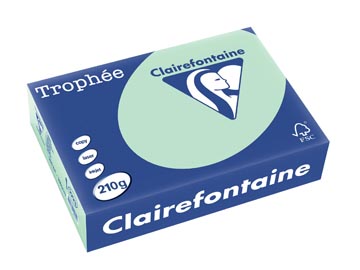 Afbeelding van Clairefontaine Trophée Pastel, gekleurd papier, A4, 210 g, 250 vel, groen papier