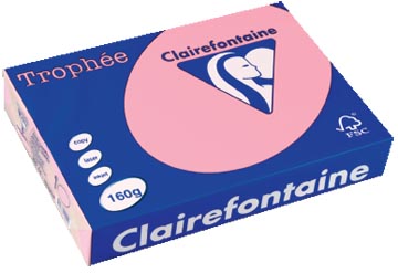 Afbeelding van Clairefontaine Trophée Pastel, gekleurd papier, A4, 160 g, 250 vel, roze papier