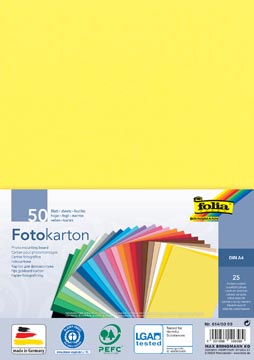 Afbeelding van Folia Gekleurd Fotopapier, Ft A4, Pak Van 50 Vel In 25 Geassorteerde Kleuren Tekenpapier
