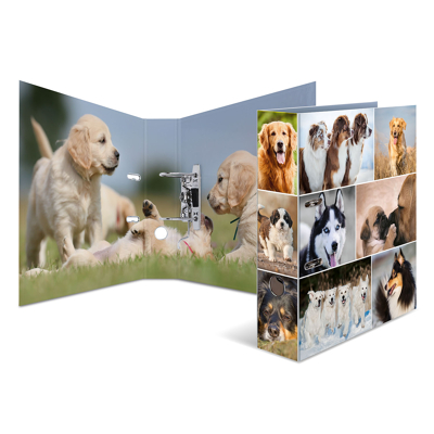 Afbeelding van 10x Motief ordner A4 dieren honden