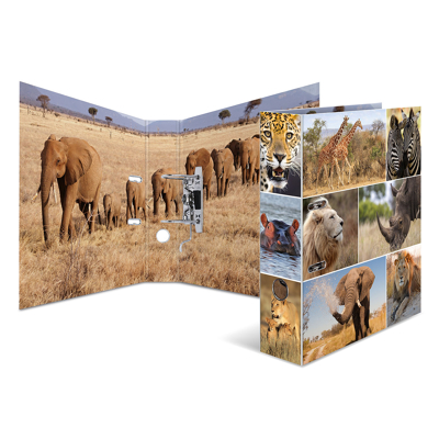 Afbeelding van 10x Motief ordner A4 dieren afrika
