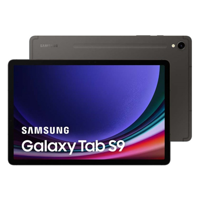 Imagen de Samsung Galaxy Tab S9 WiFi + 5G 128GB X716 Gris