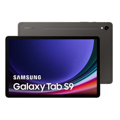 Imagen de Samsung Galaxy Tab S9 WiFi + 5G 256GB X716 Gris