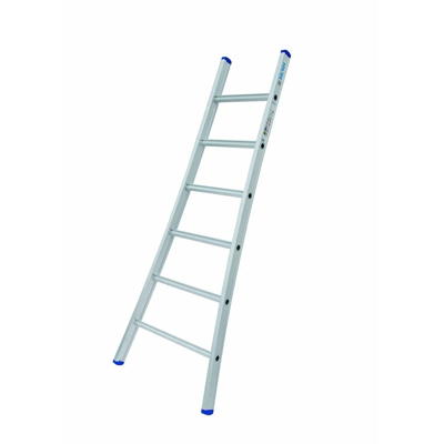 Afbeelding van Solide 1 delige ladder 6 sporten met gebogen voet