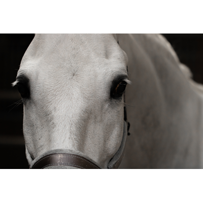 Afbeelding van Lucky Horse Unicorn Gouden glitter Spray 250 ml Zilver