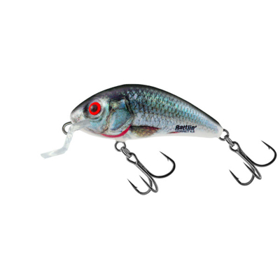 Afbeelding van Salmo Rattlin Hornet shallow floating 4.5cm Holographic Real Dace Plug