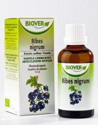 Afbeelding van Biover Ribes Nigrum Bio, 50 ml