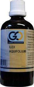 Afbeelding van Go Ilex Aquafolium, 100 ml