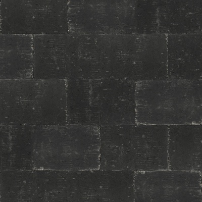 Afbeelding van Abbeystones met deklaag Nero 20x30x6cm